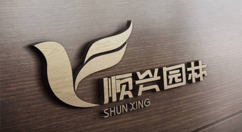 东营区VI设计公司：城市视觉形象的专业筑梦者